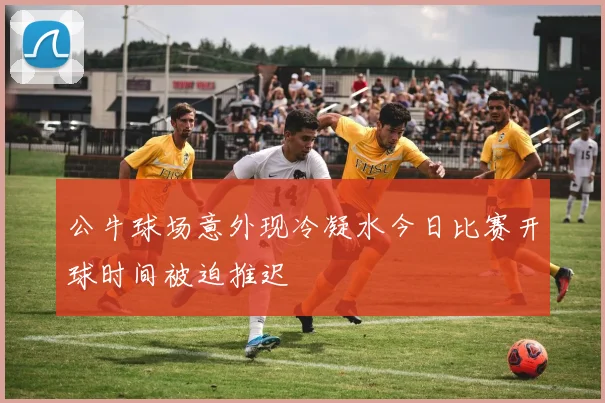 公牛球场意外现冷凝水今日比赛开球时间被迫推迟