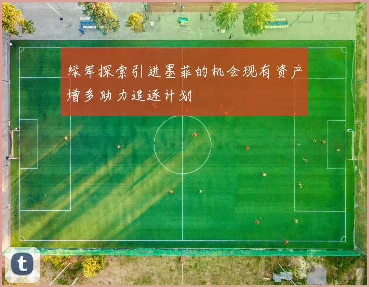 绿军探索引进墨菲的机会现有资产增多助力追逐计划