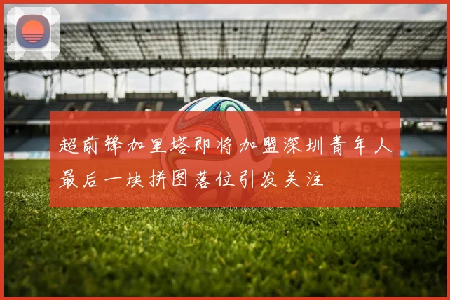 超前锋加里塔即将加盟深圳青年人最后一块拼图落位引发关注