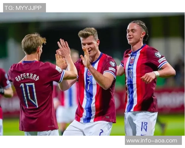 哈兰德世预赛表现惊艳6场打入12球超越第二名两倍之多 哈兰德世预赛表现惊艳6场打入12球超越第二名两倍之多