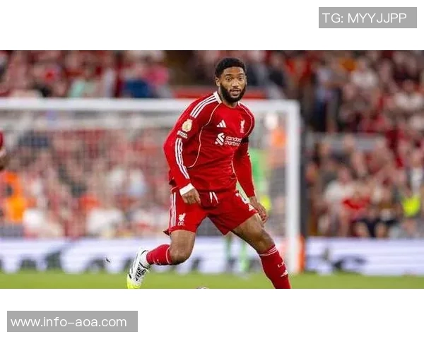 米兰计划明年一月引援新后卫乔戈麦斯成为首选目标