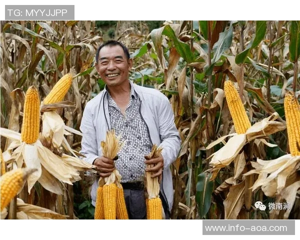 彭啸赛后感言感谢球迷支持收获胜利的喜悦与不易